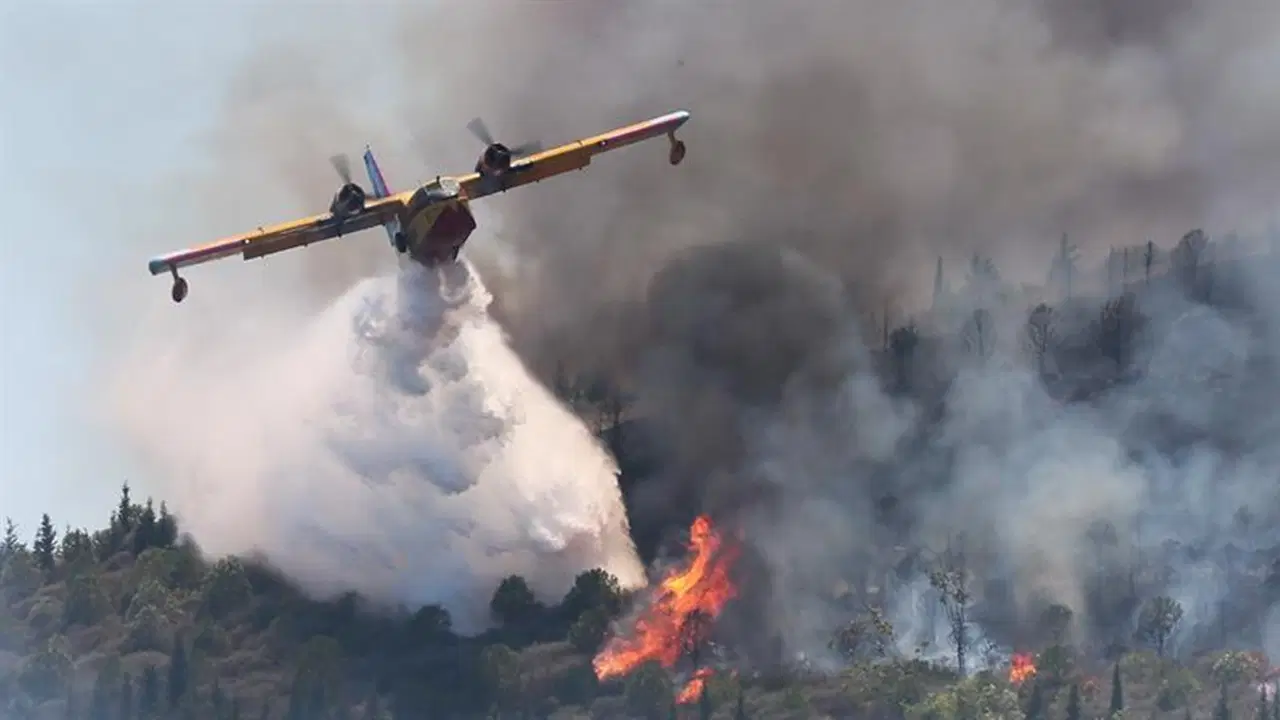 greenpeaceten hukumete tesvik elestirisi o rakamlarla 650 yangin sondurme ucagi alinabilirdi BizMlj4z