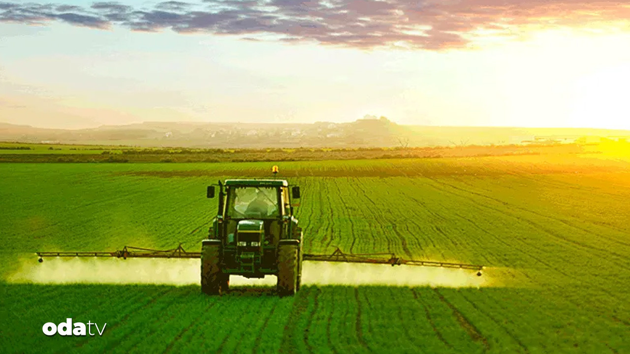 tarim efsanesi de konkordato ilan etti 8Ekiisxm