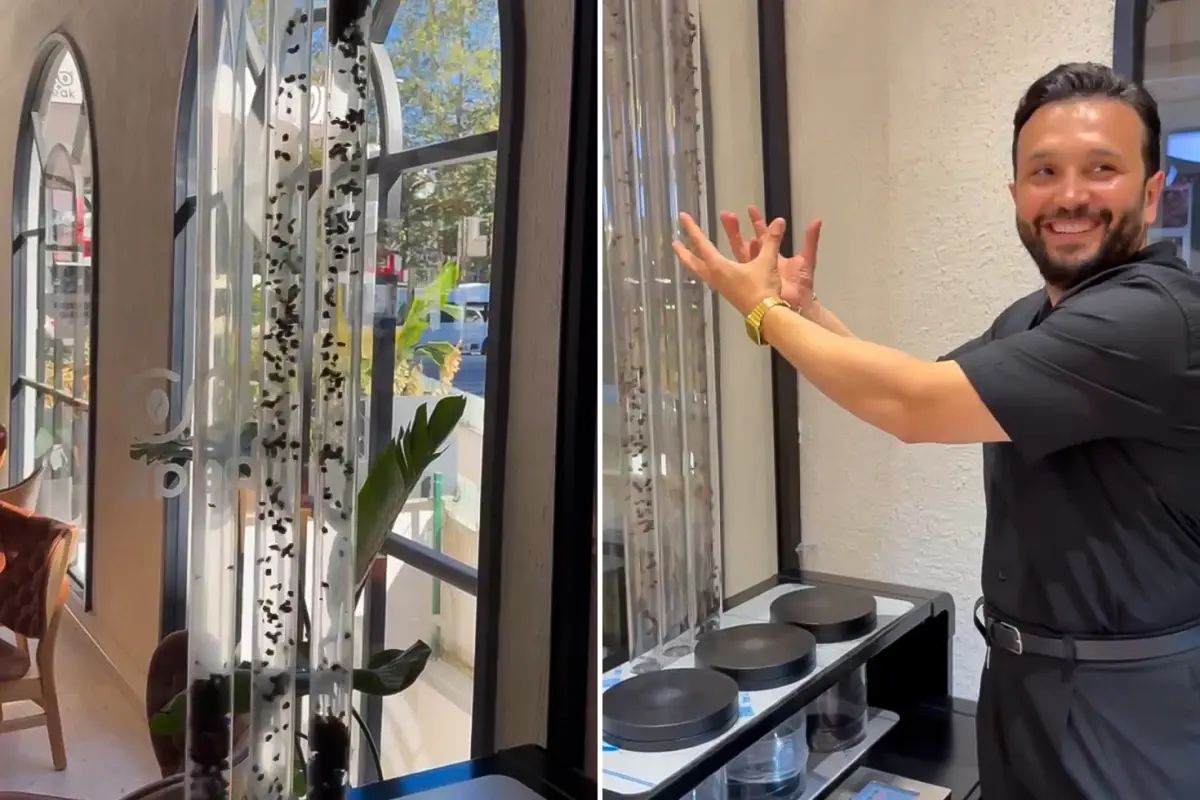 havada ucan kahve yunus cakmaktan kahveye gorsel solenli dokunus I6BqcW1D