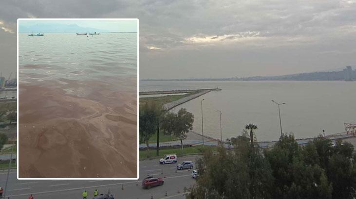 korfez yine kahverengi kotu koku izmir sahillerini esir aldi eqO3Y7BB.jpg