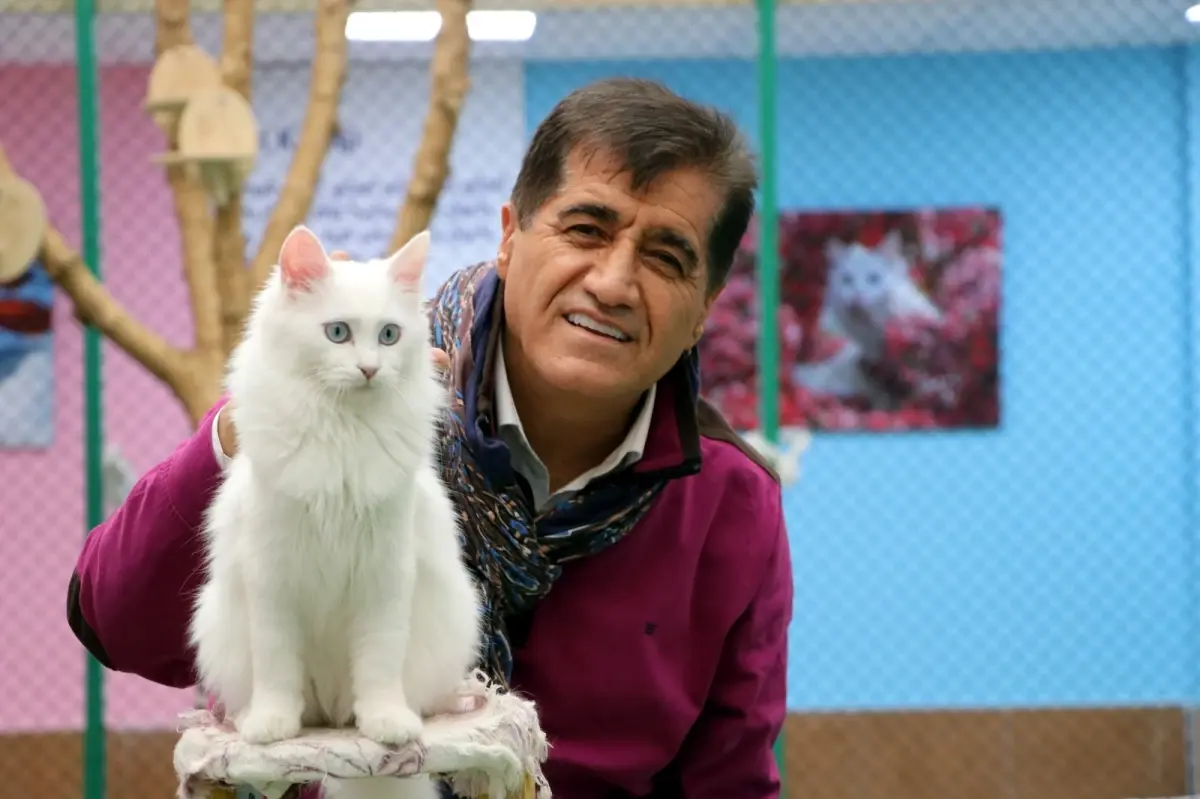 sanatci aydin aydin nesli tukenmekte olan van kedisiyle duet yapti t5ittiyk.jpg