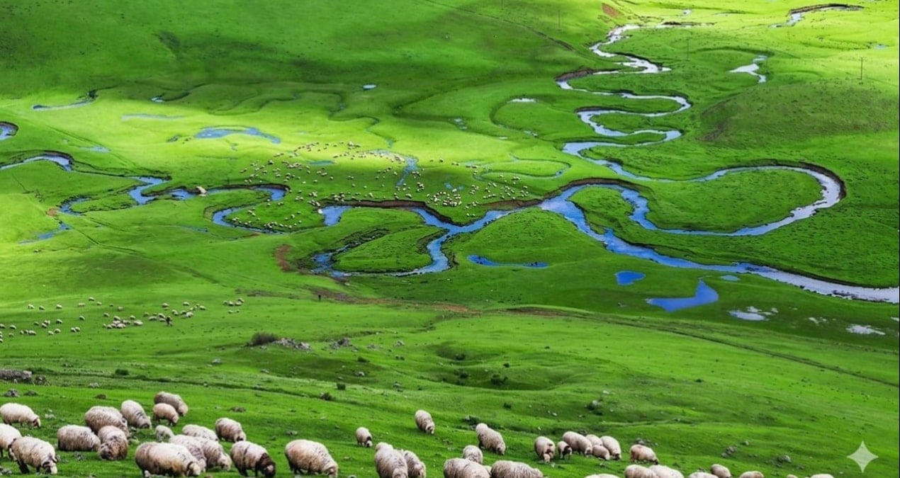 Karadeniz’in Cennet Yaylalarına Sahip Çıkalım
