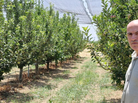 Hasat donemi yaklasiyor ciftciyi bekleyen buyuk tehlike karamanda elma bereketi tm27uVyK